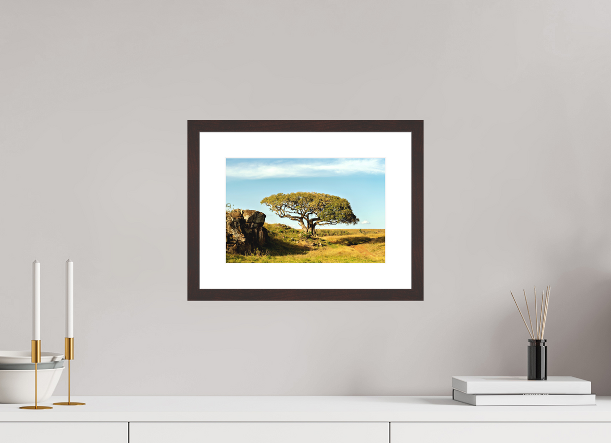 30 x 20 cm, Baryta Prestige II with Matte Float Glass Acacia Tree - Masai Mara NP - Kenya