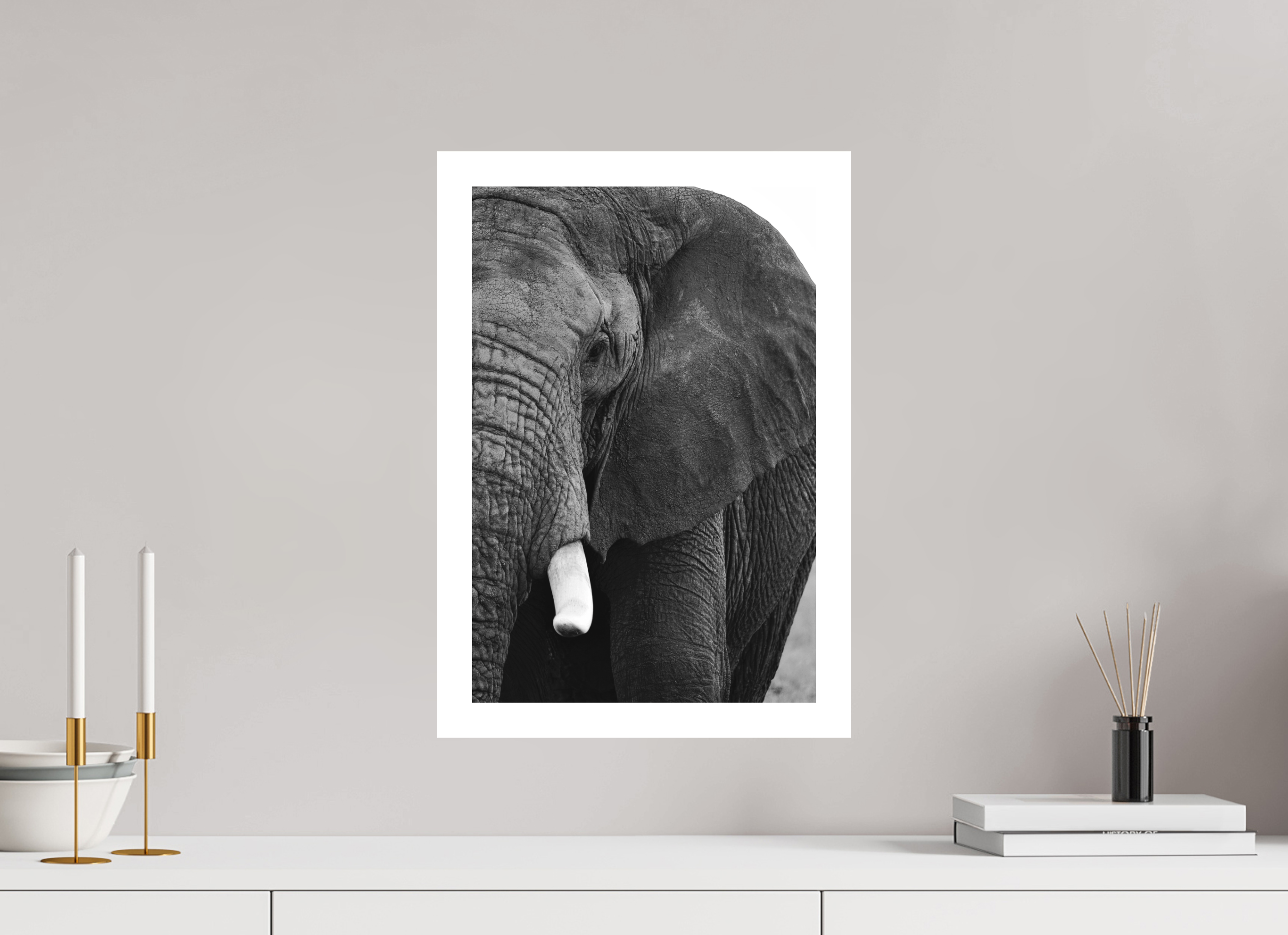 30 x 45 cm, Acrylic Glass Ilford The Hidden Side of the Elephant