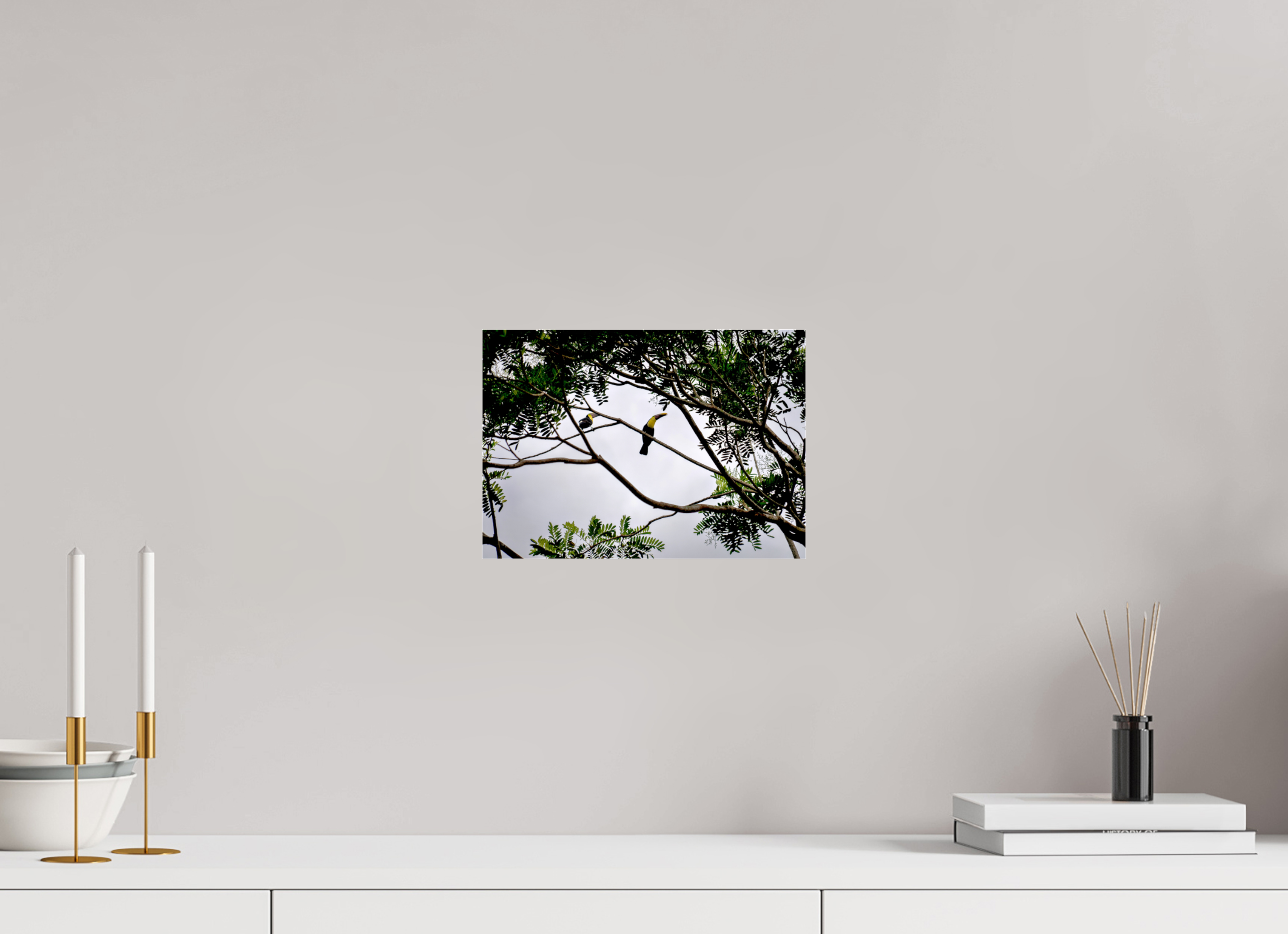 28.2 x 20 cm, Photo Print Under Acrylic Glass A Hornbill on a Branch