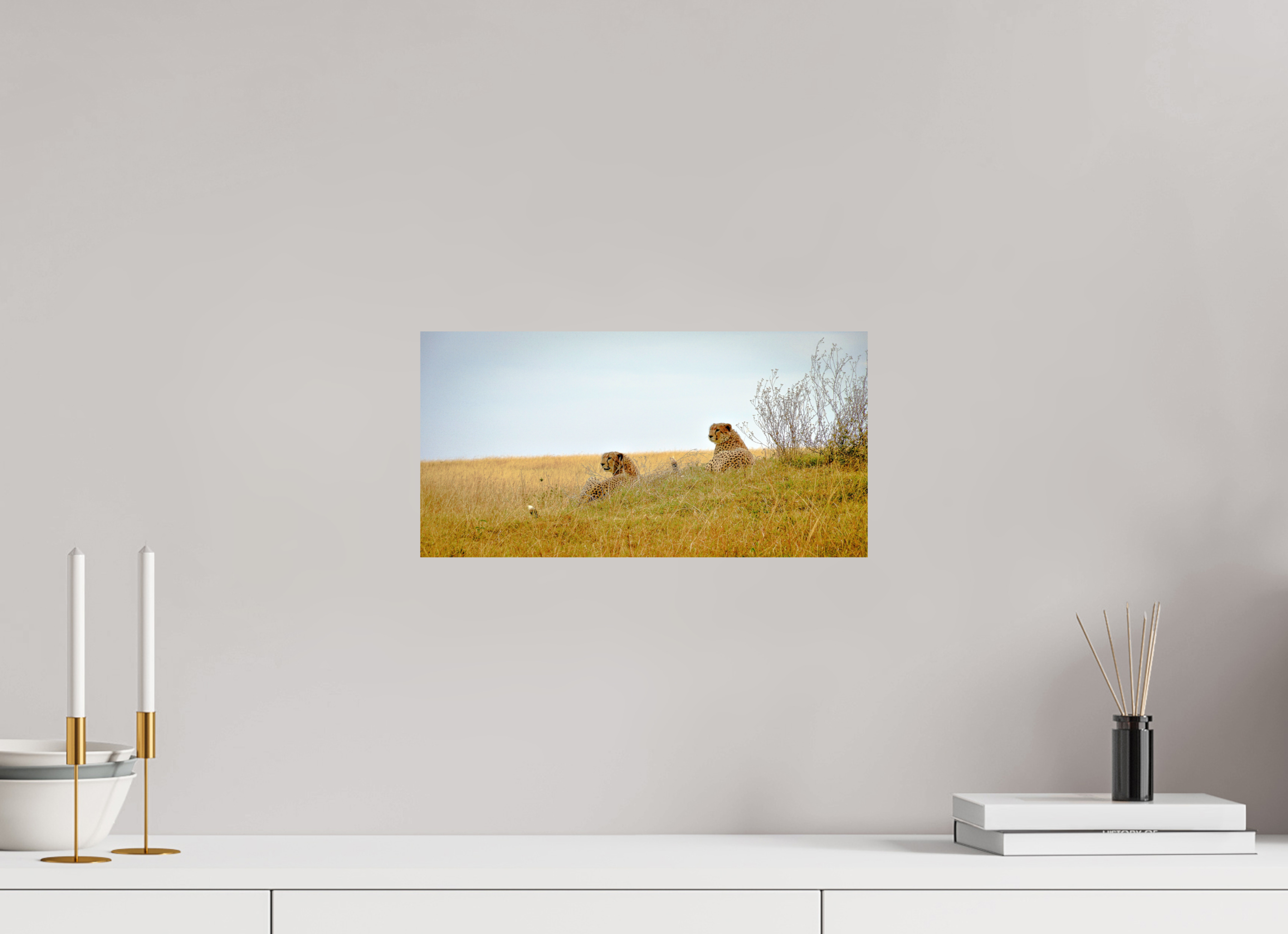 39.6 x 20 cm, PH Print On Fujiflex High Gloss Cheetah Connection