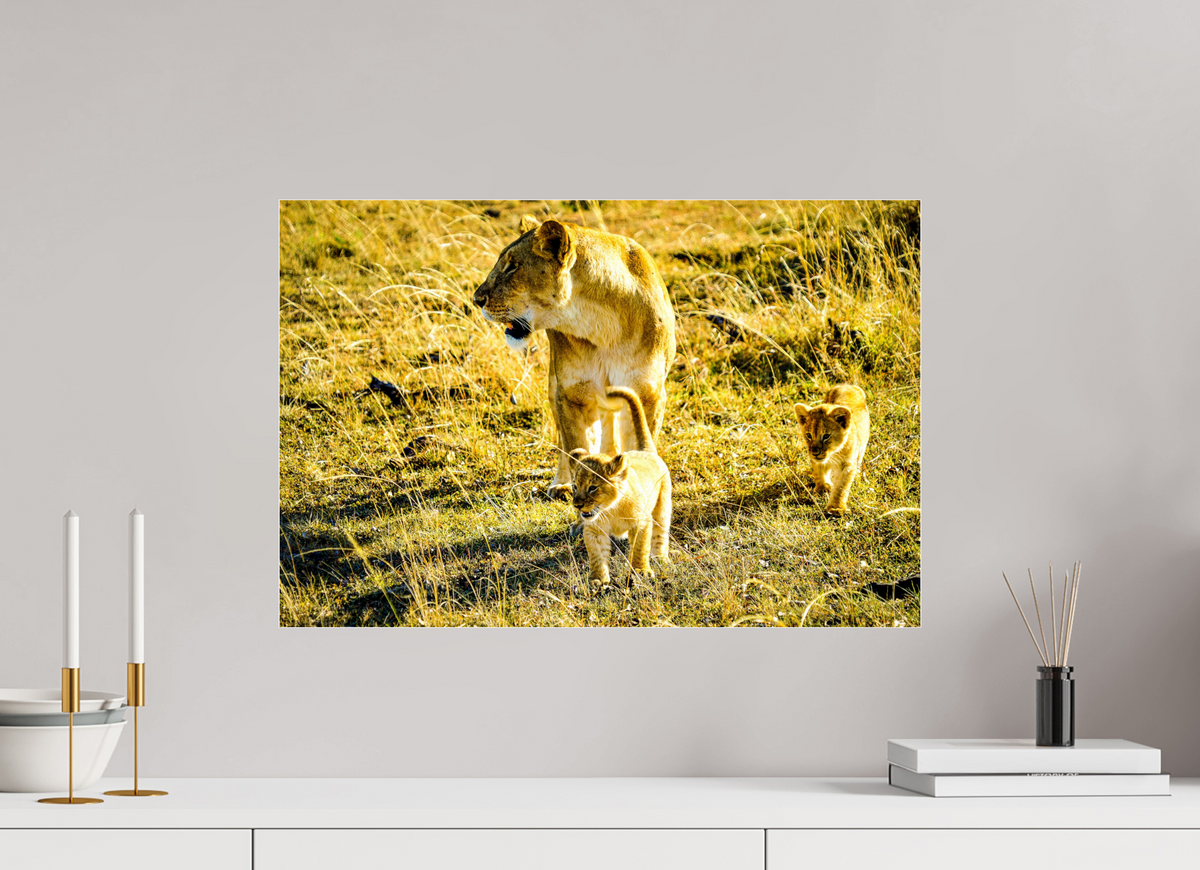 60 x 40 cm, Photo Print Under Acrylic Glass Savanna Legacy