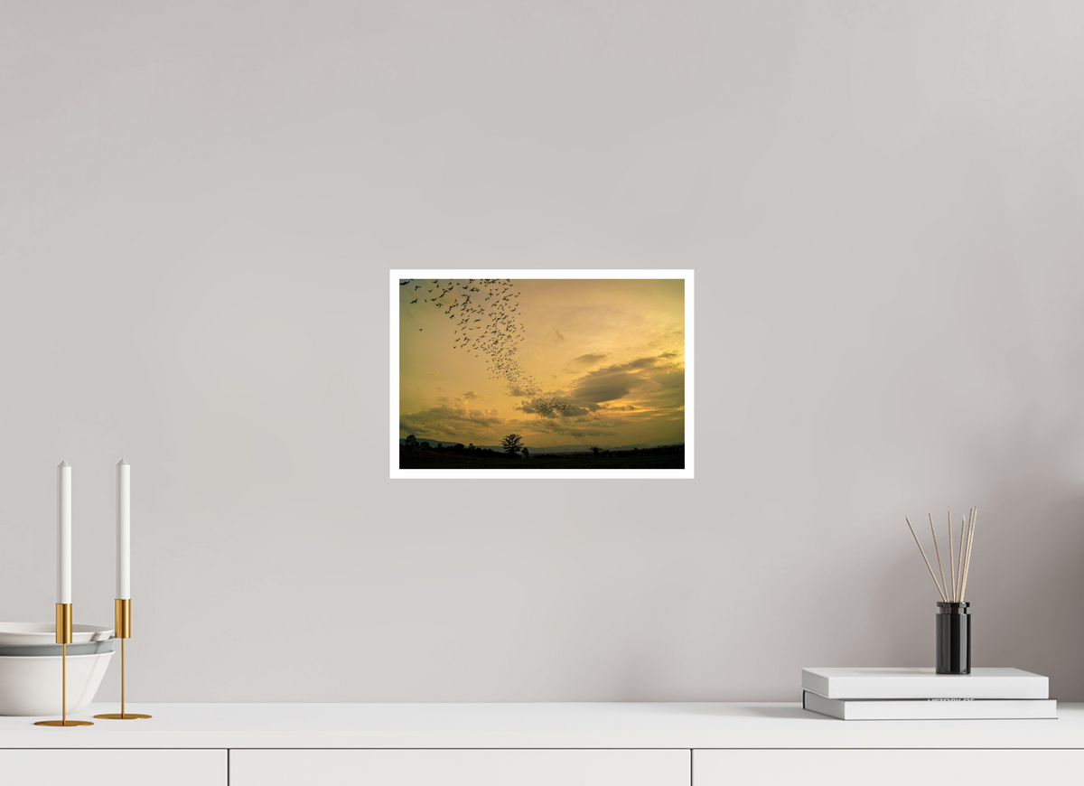 30 x 20 cm, Fujiflex High Gloss with 1 cm Border Dusk Emergence