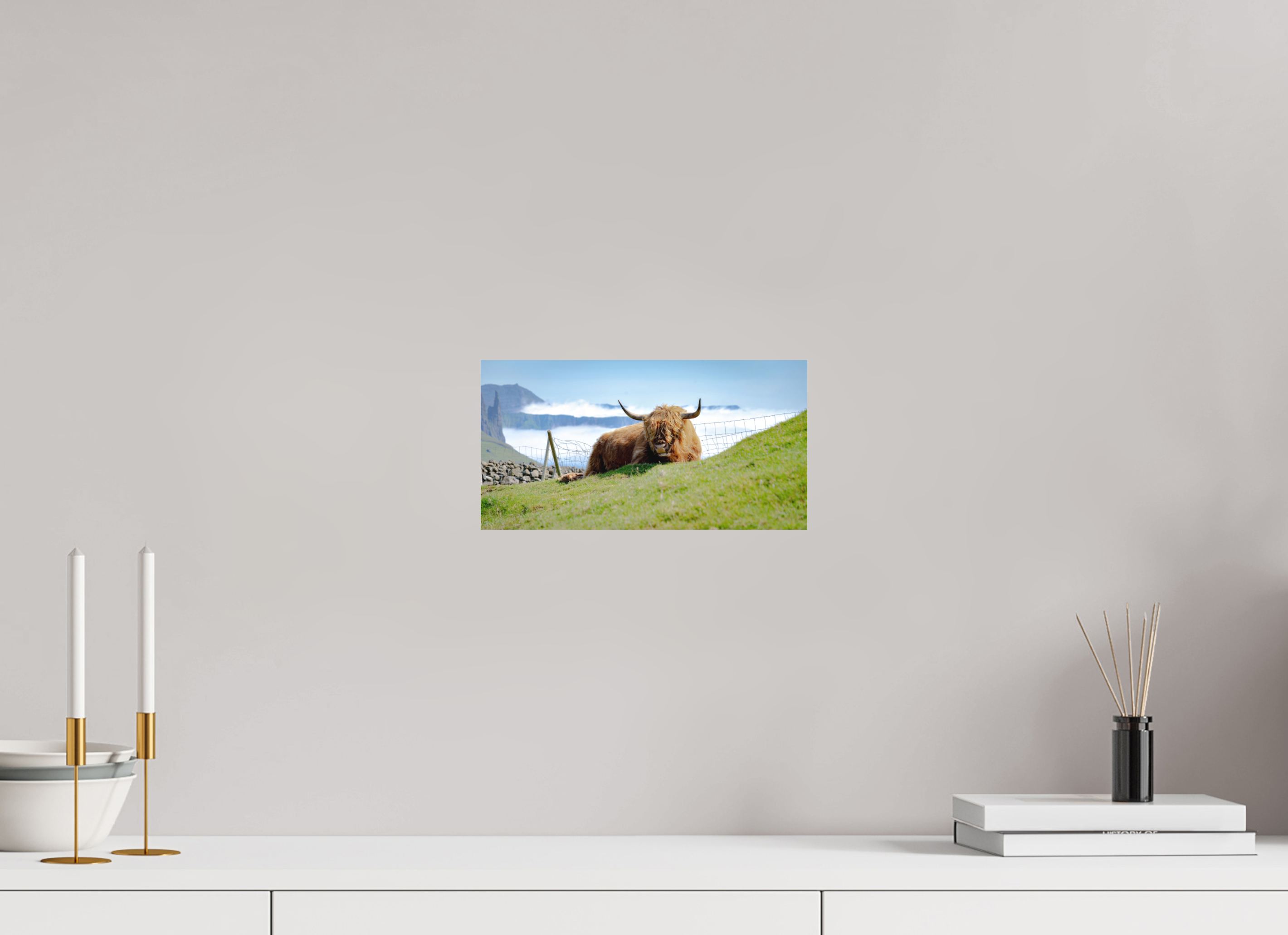 28.9 x 15 cm, Fine Art Print Smooth Highland Cow of the Faroe Islands