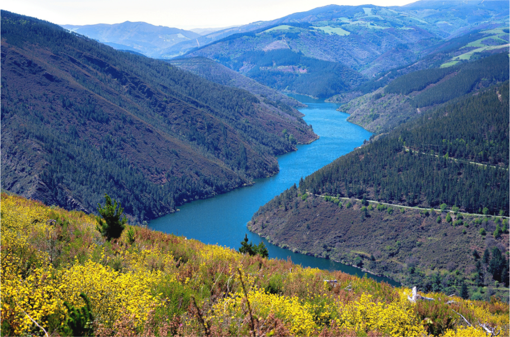Main image Blue River