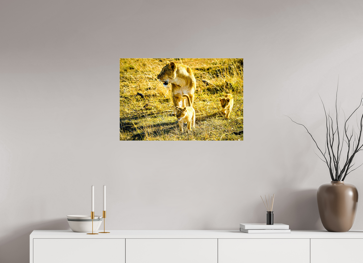 75 x 50 cm, Photo Print Under Acrylic Glass Savanna Legacy