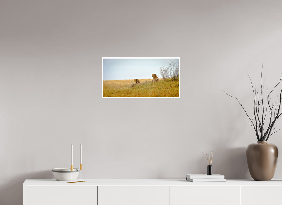 59.3 x 30 cm, Fujiflex High Gloss with 1 cm Border Cheetah Connection