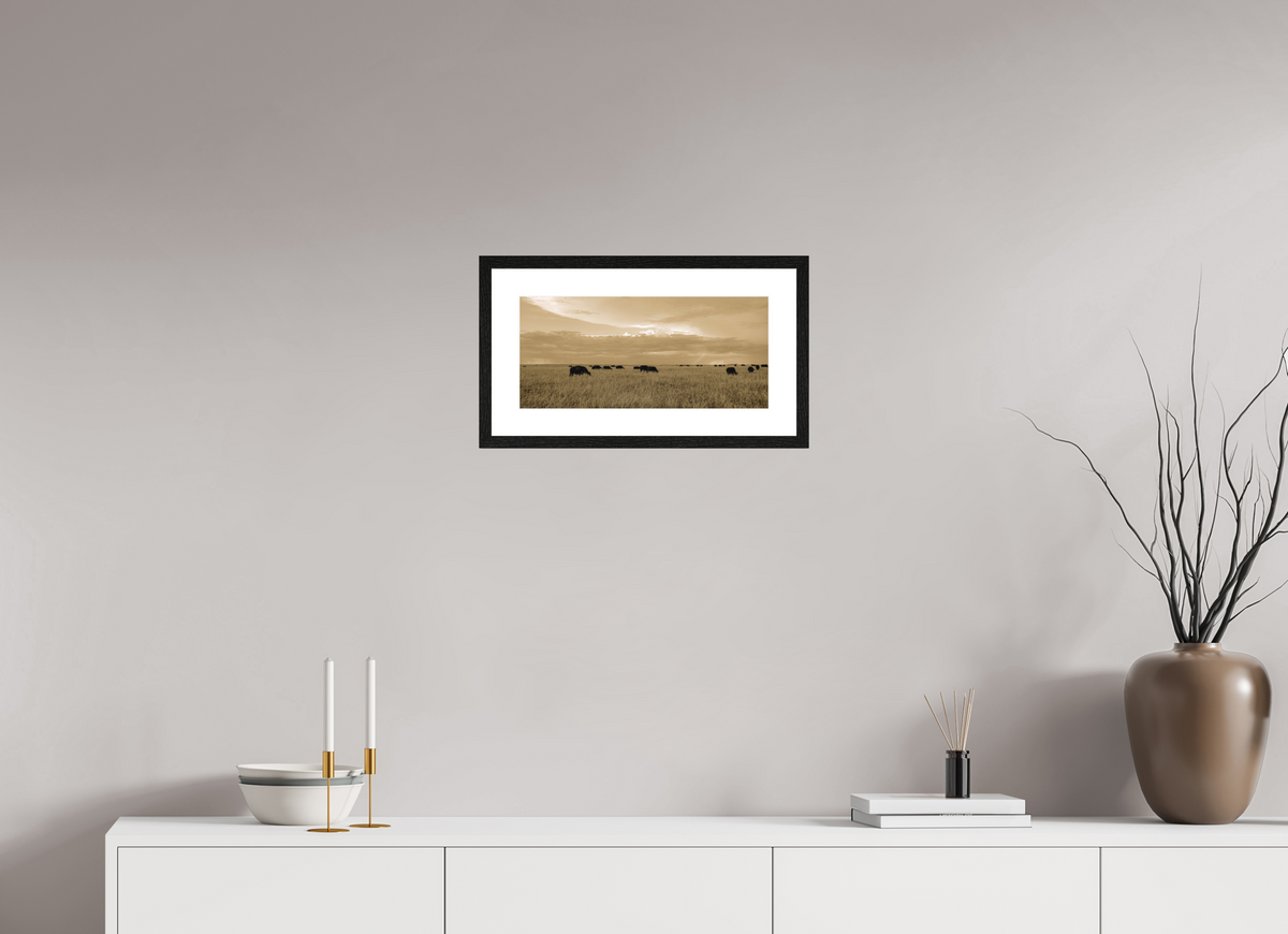 43.3 x 20 cm, Smooth Natural Paper Print with Frame Grazing Herd of African Buffalo, Masai Mara, Kenya