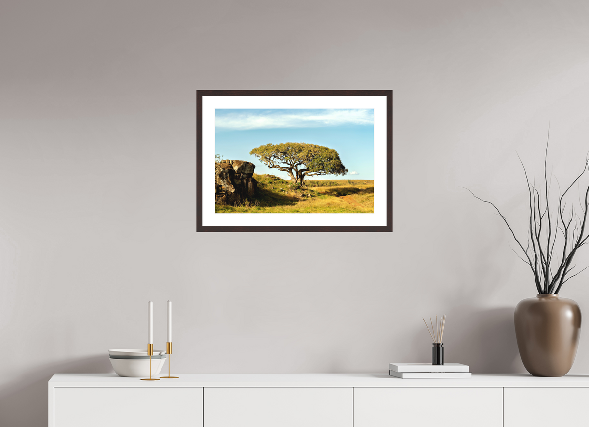 60 x 40 cm, Baryta Prestige II with Matte Float Glass Acacia Tree - Masai Mara NP - Kenya