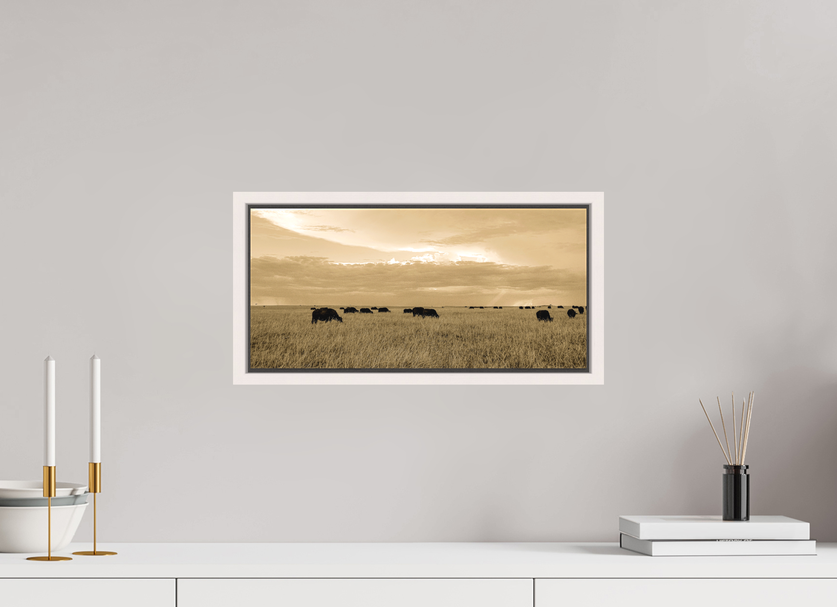 43.3 x 20 cm, Matte Canvas 15 mm Frame Grazing Herd of African Buffalo, Masai Mara, Kenya