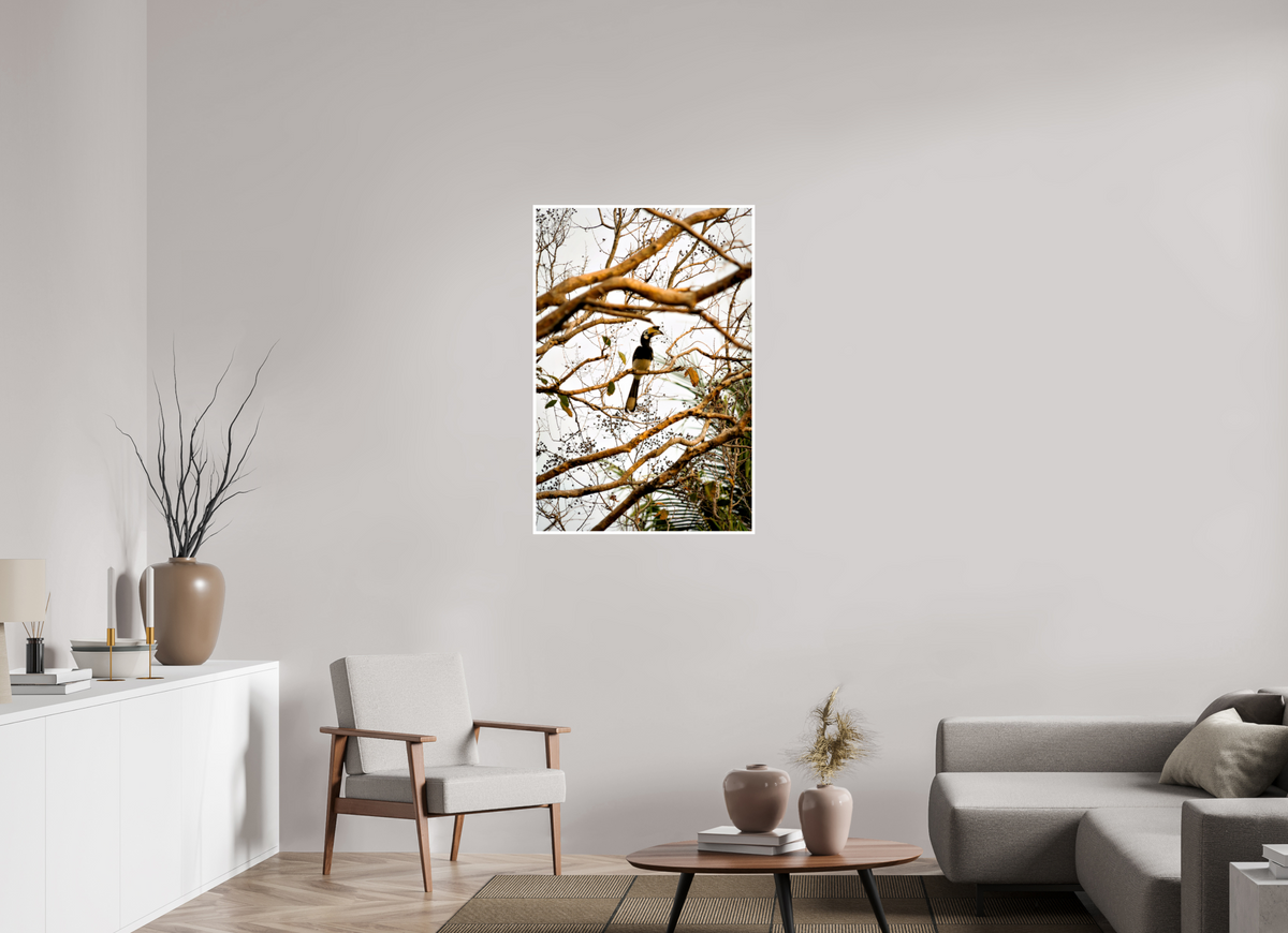 70 x 105 cm, Fujiflex High Gloss with 1 cm Border Hornbill at Rest