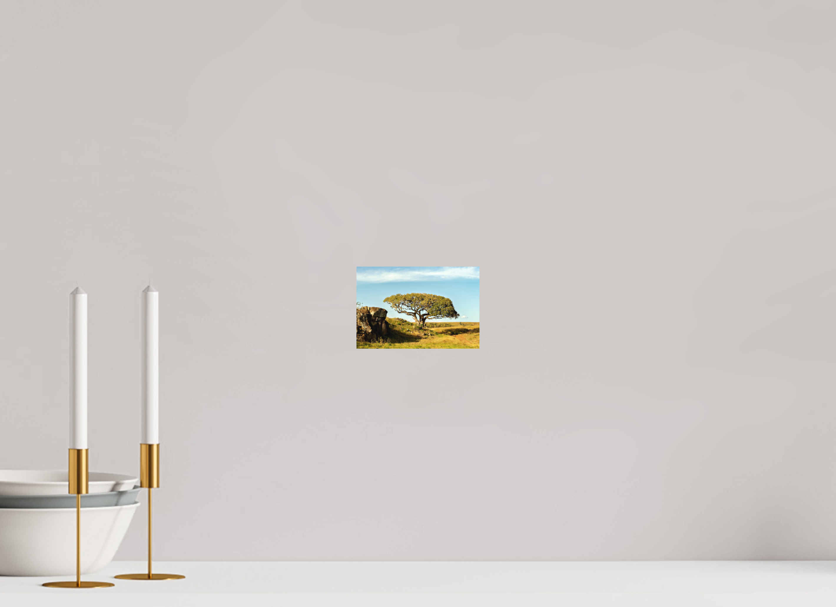 15 x 10 cm, Fine Art Print Smooth Her Majesty Tree