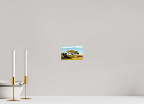 15 x 10 cm, Fine Art Print Smooth Her Majesty Tree