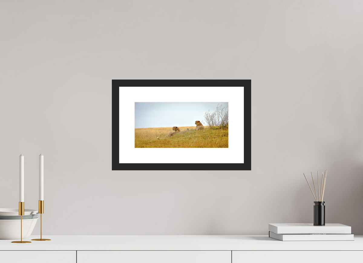 29.7 x 15 cm, Photo Print On Fuji Crystal DP II Matte Cheetah Connection