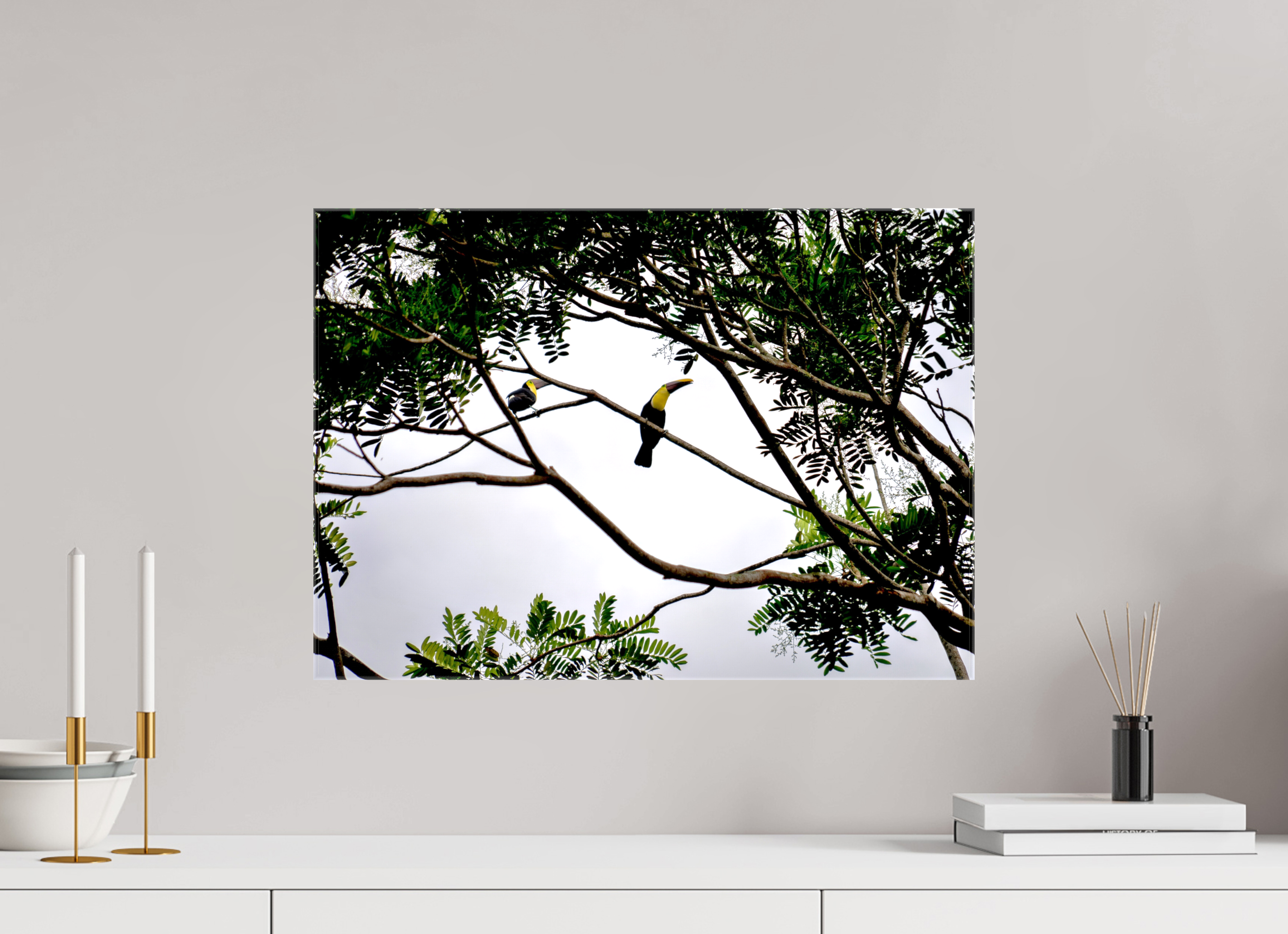 56.5 x 40 cm, Canvases Unframed A Hornbill on a Branch