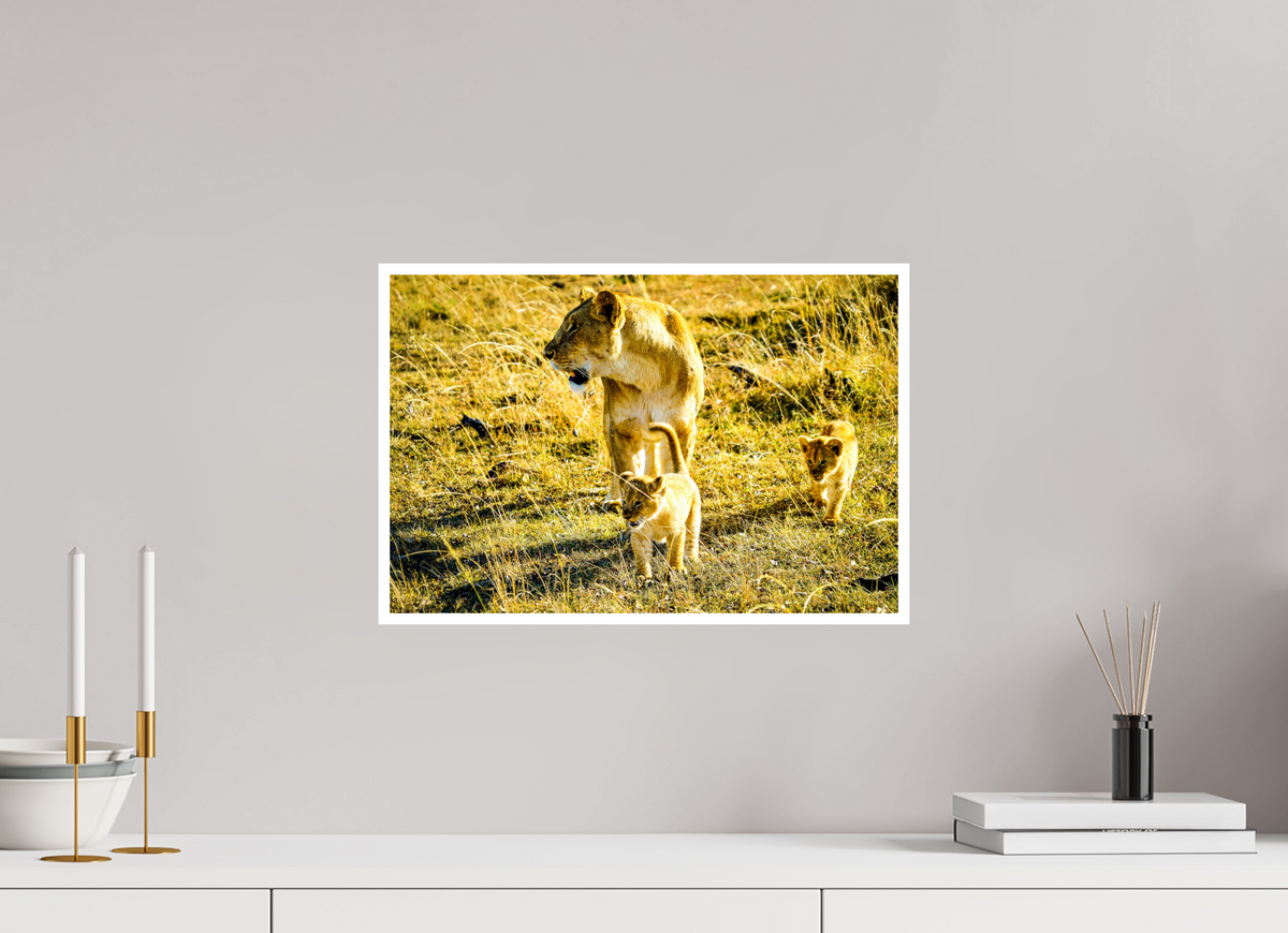 45 x 30 cm, Fujiflex High Gloss with 1 cm Border Savanna Legacy