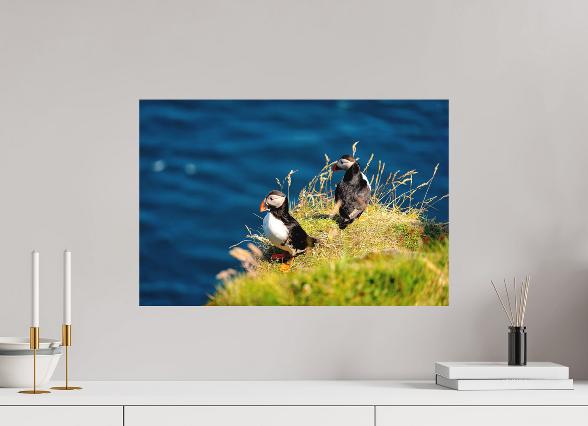 60 x 40 cm, Fine Art Print Smooth Clifftop Puffins