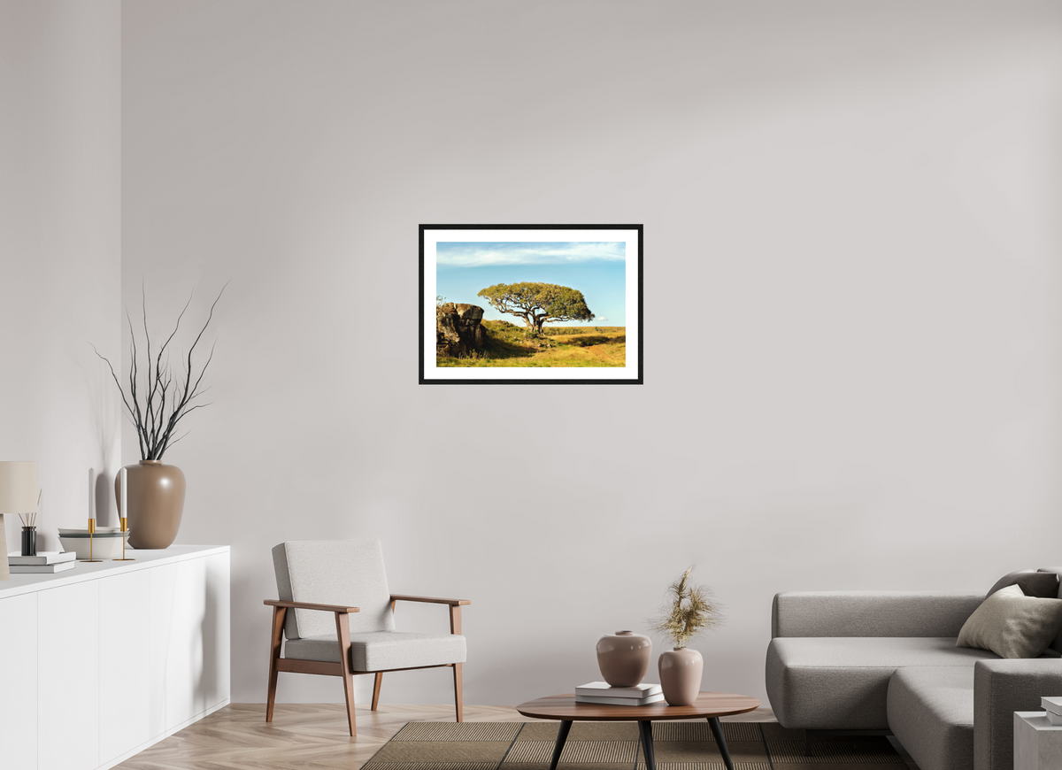 75 x 50 cm, Smooth Natural Paper Print with Frame Acacia Tree - Masai Mara NP - Kenya