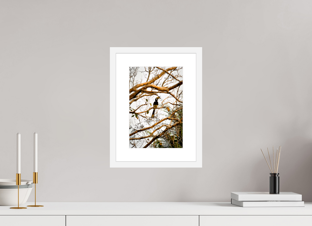 20 x 30 cm, Fine Art Print with Frame Hornbill at Rest
