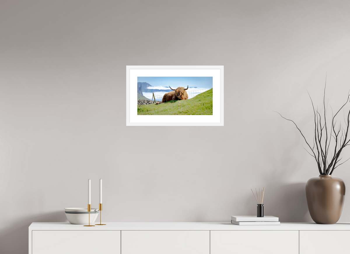48.2 x 25 cm, Fine Art Print with Frame Highland Cow of the Faroe Islands