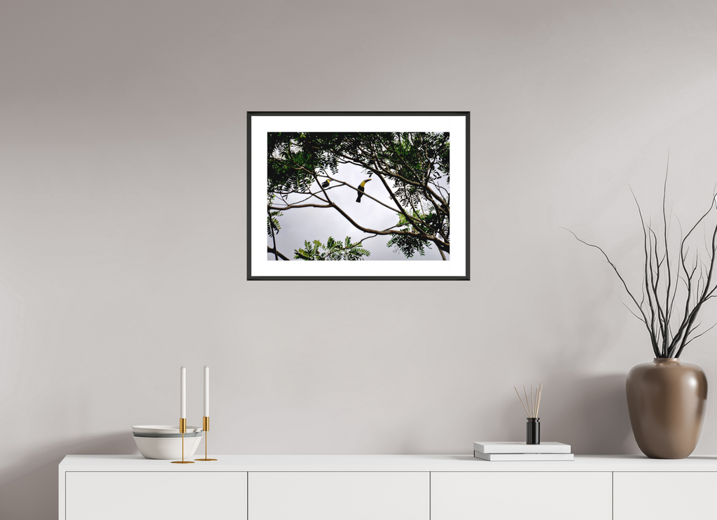 56.5 x 40 cm, Changeable Magnetic Frame - Hahnemühle Fineart Pearl A Hornbill on a Branch