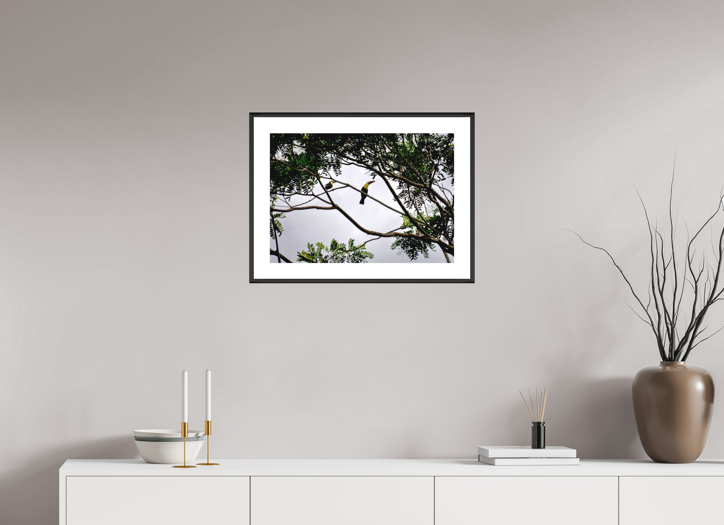 56.5 x 40 cm, Changeable Magnetic Frame - Hahnemühle Fineart Pearl A Hornbill on a Branch