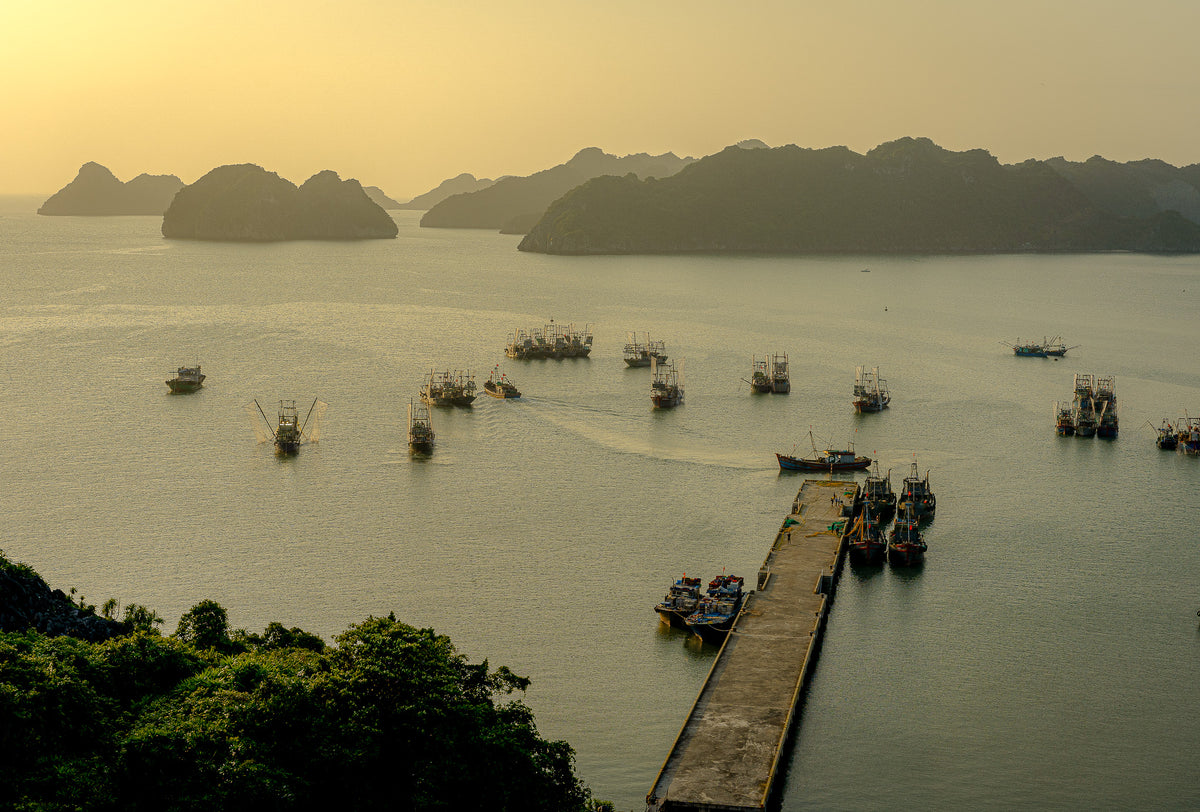 Main image Golden Harbour in Cat Ba Island – Vietnam – ELSEWHERE