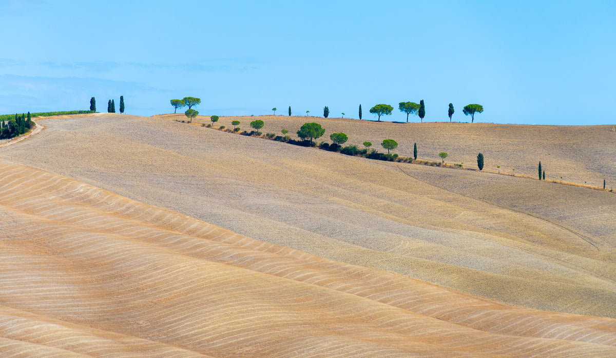 Waves of the Harvest – Italy – ELSEWHERE
