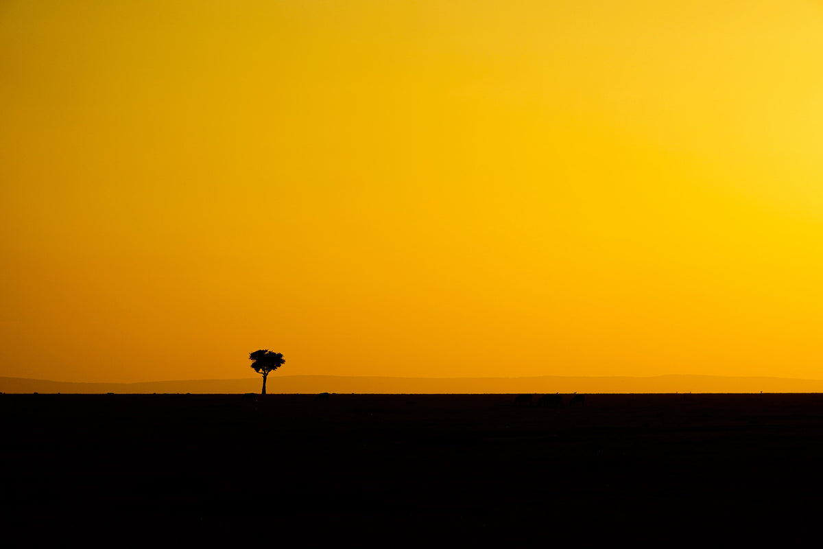 Golden Sky of the Savannah – Kenya – ELSEWHERE