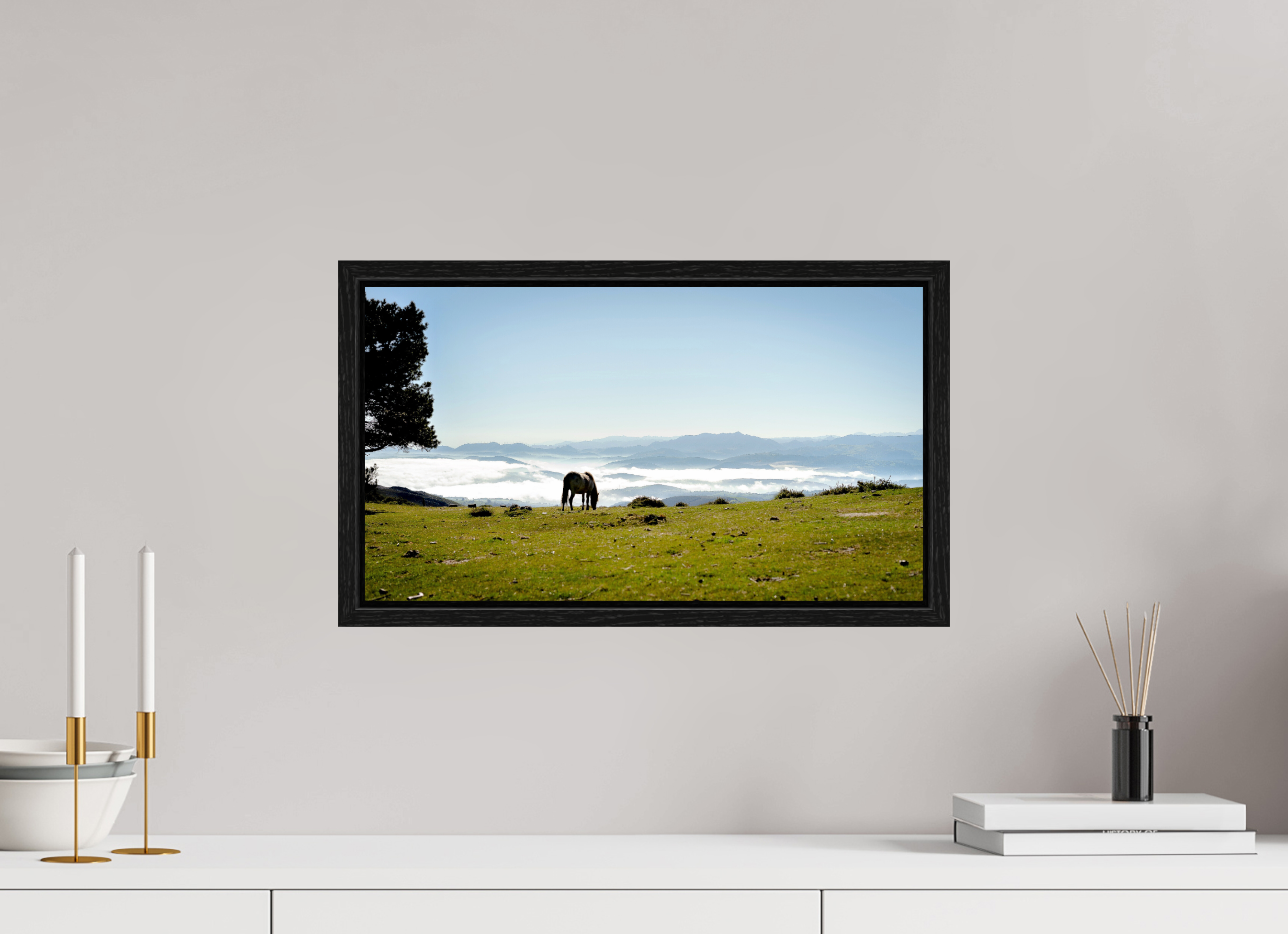 48 x 27 cm, Floater Frame A Horse with a View