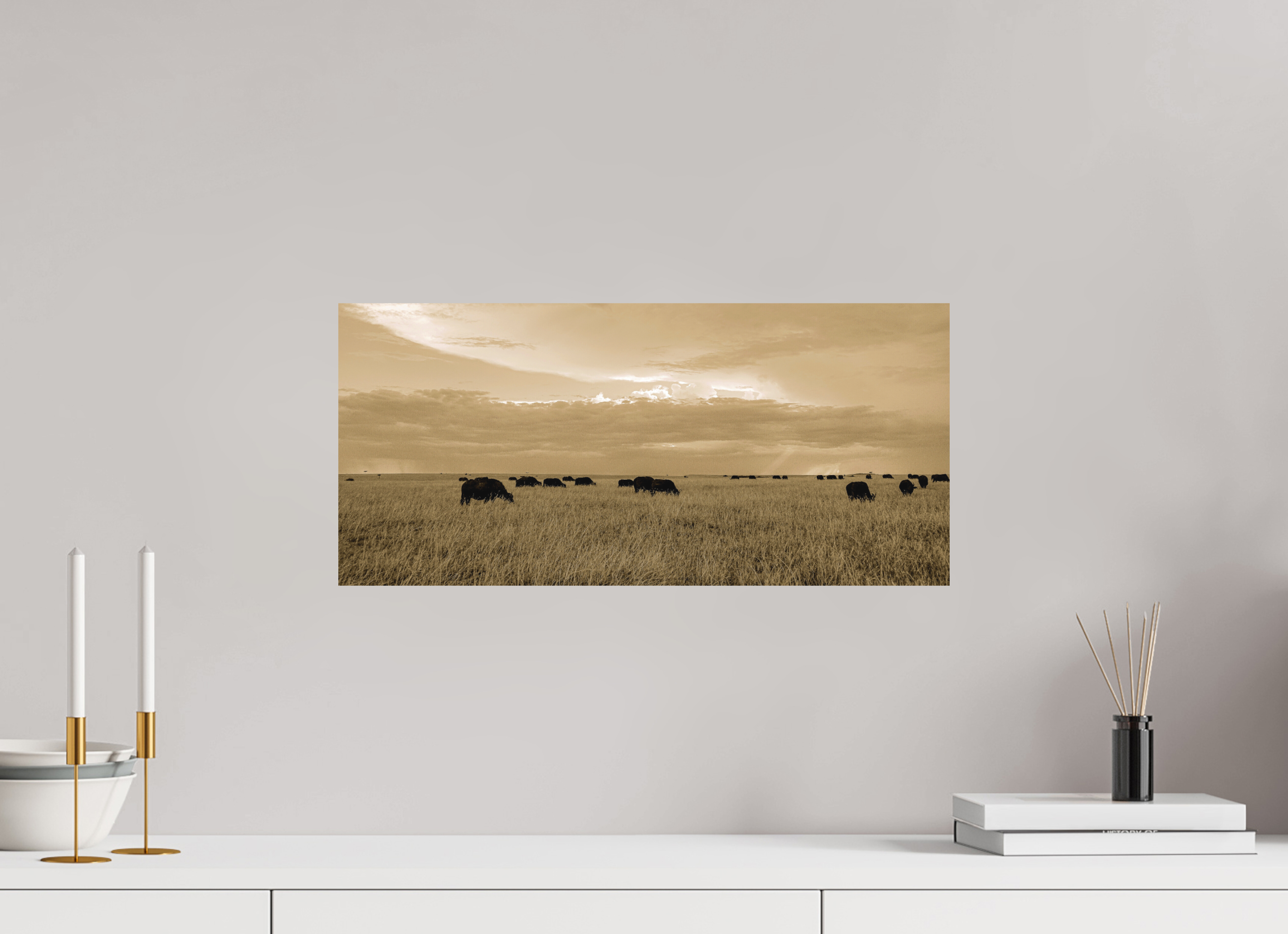 54.1 x 25 cm, Fine Art Print Smooth Grazing Herd of African Buffalo, Masai Mara, Kenya