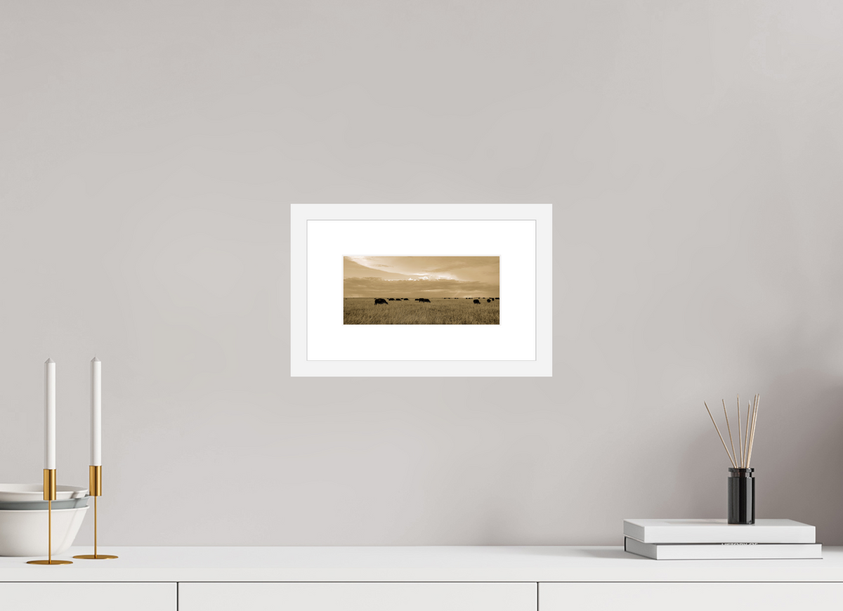 21.6 x 10 cm, Fine Art Print with Frame Grazing Herd of African Buffalo, Masai Mara, Kenya