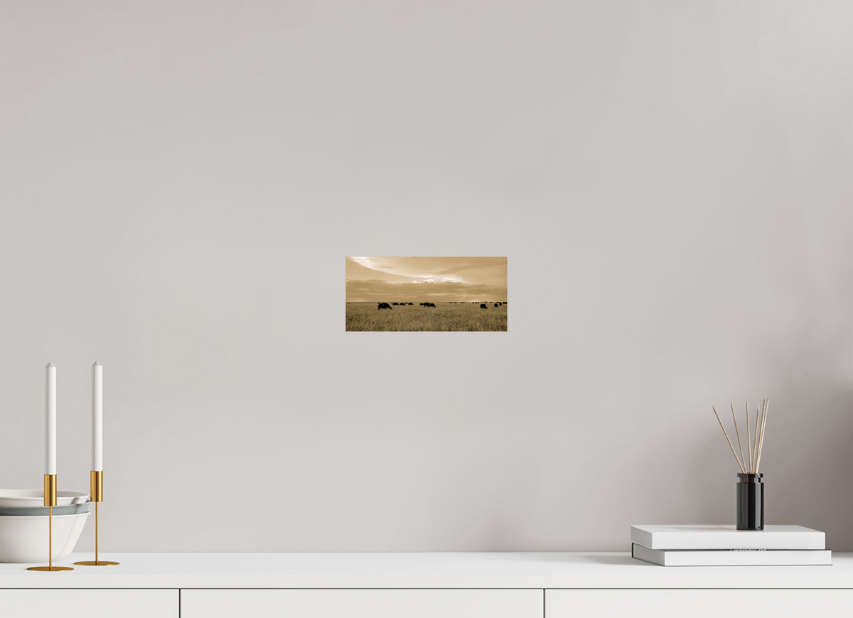21.6 x 10 cm, Photo Print On Fuji Crystal DP II Grazing Herd of African Buffalo, Masai Mara, Kenya