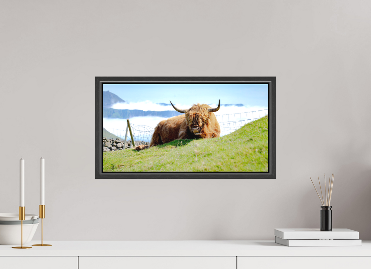 48.2 x 25 cm, Textile Print Canvas with 15 mm Width Gap Frame Highland Cow of the Faroe Islands
