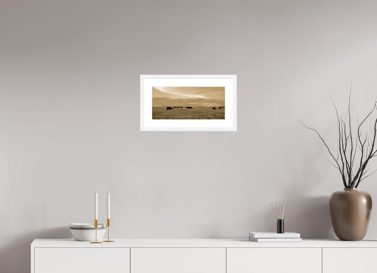 43.3 x 20 cm, Fine Art Print with Frame Grazing Herd of African Buffalo, Masai Mara, Kenya