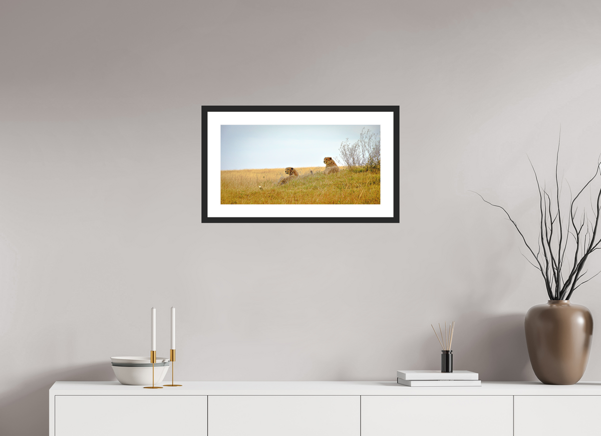 59.3 x 30 cm, Photo Print On Fuji Crystal DP II Matte Cheetah Connection