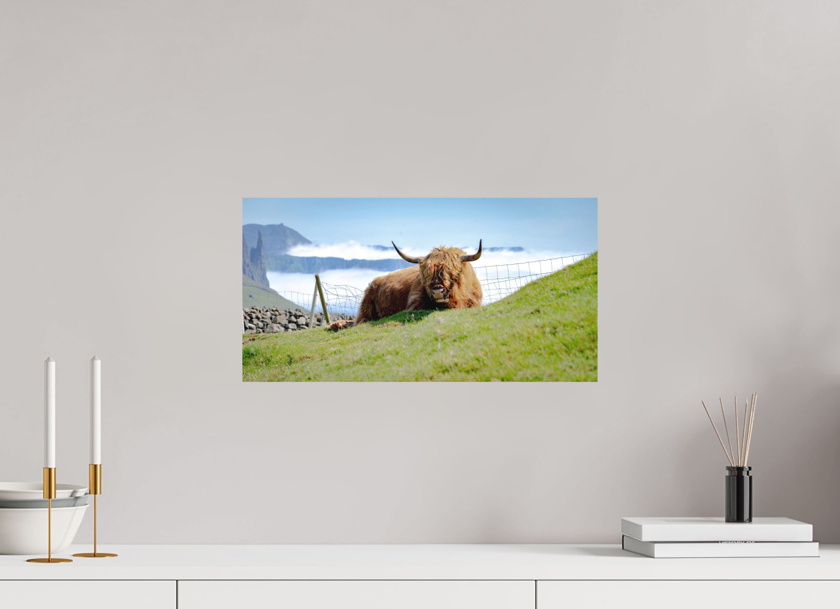 48.2 x 25 cm, Fine Art Print Smooth Highland Cow of the Faroe Islands