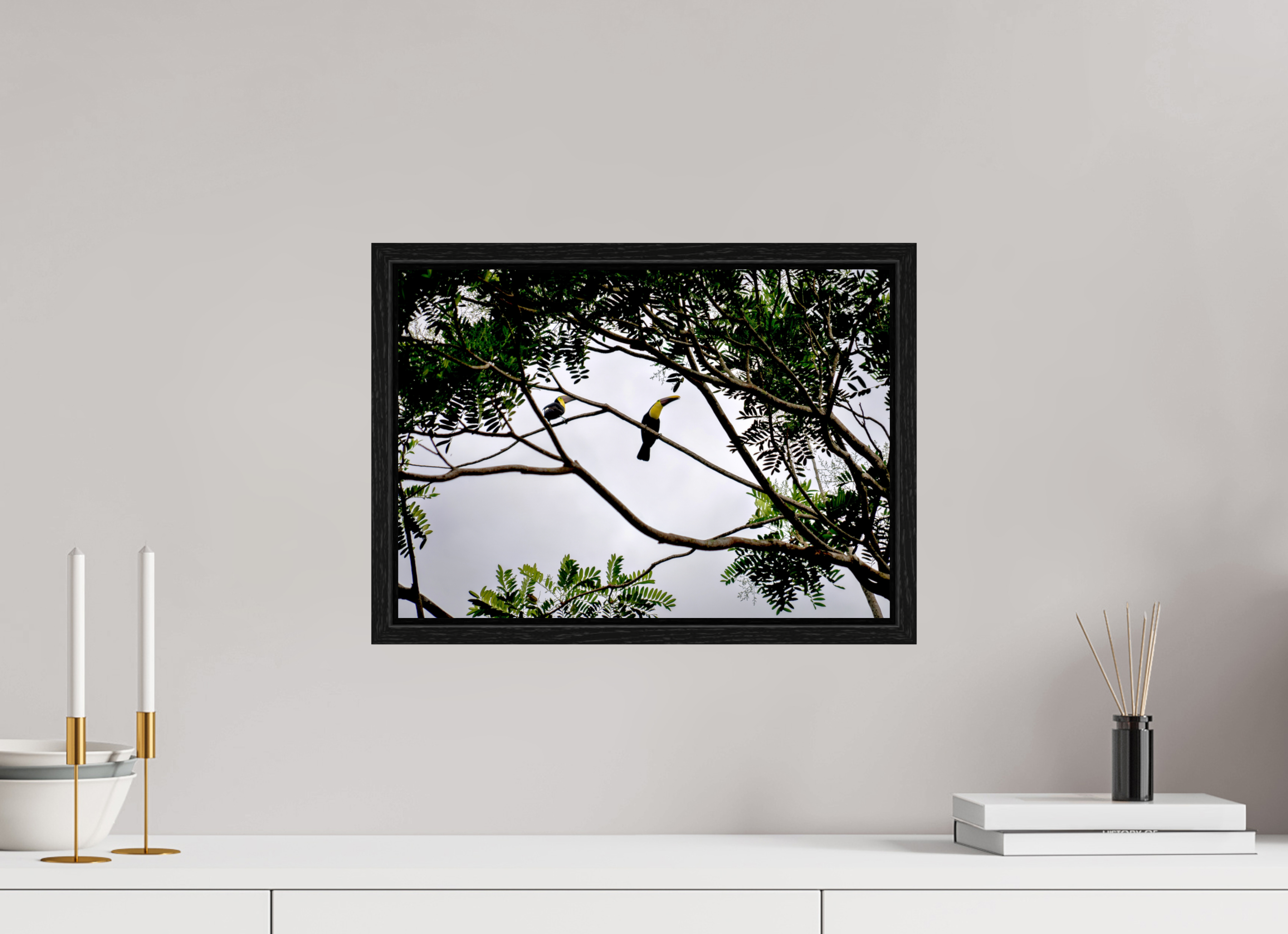 42.3 x 30 cm, Floater Frame A Hornbill on a Branch