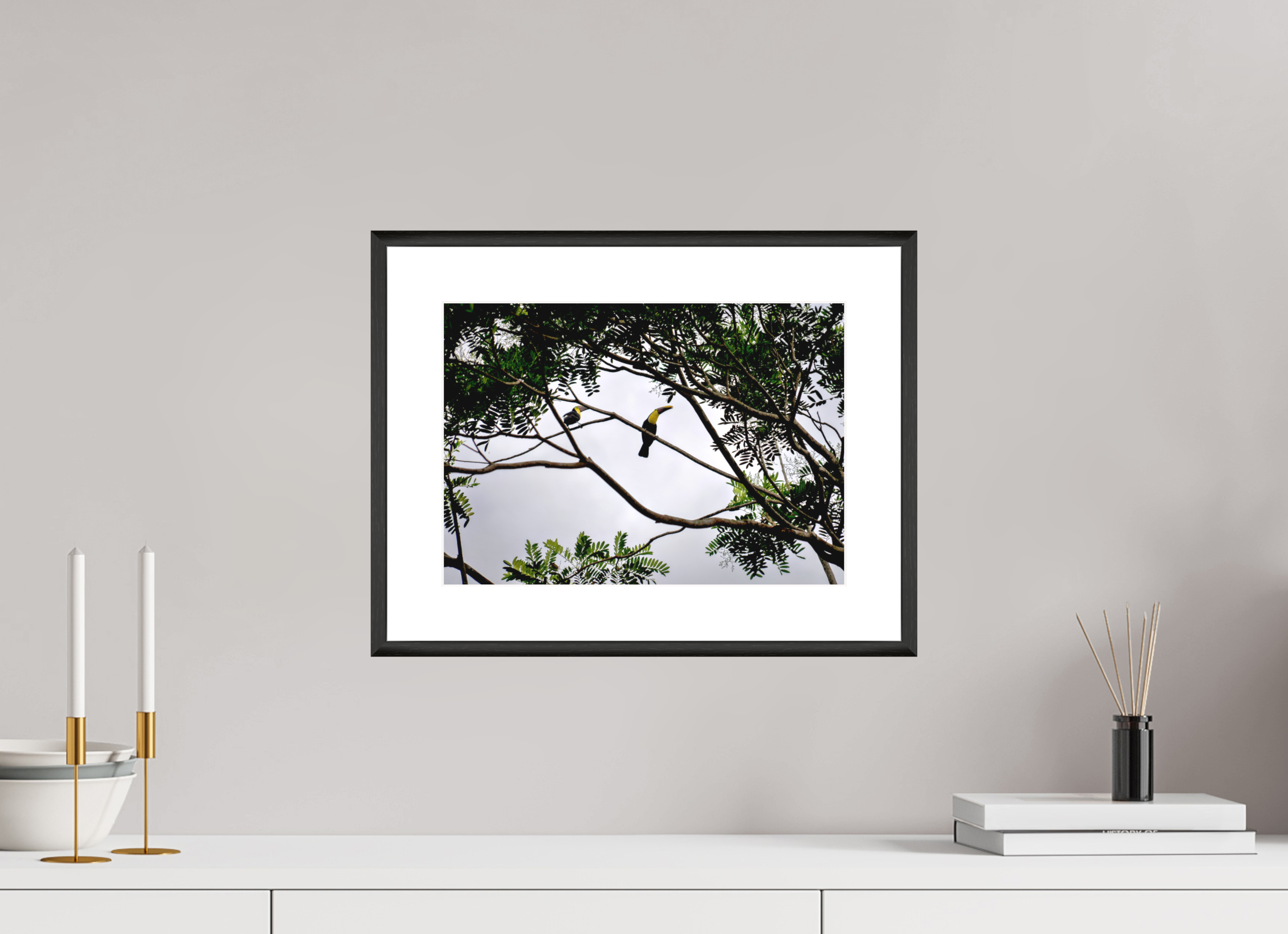 35.3 x 25 cm, Changeable Magnetic Frame - Hahnemühle Fineart Pearl A Hornbill on a Branch