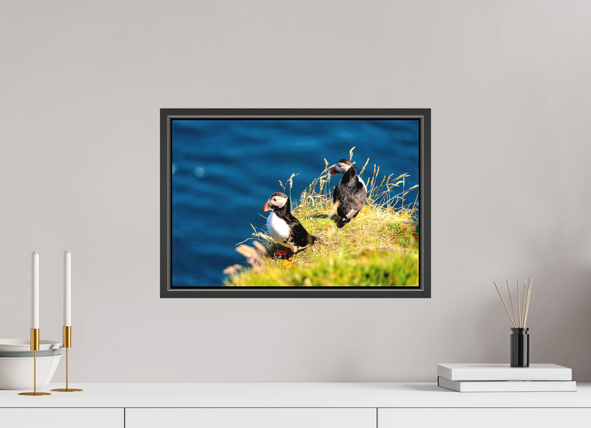 45 x 30 cm, Matte Canvas on 20 mm Stretcher Frame Clifftop Puffins