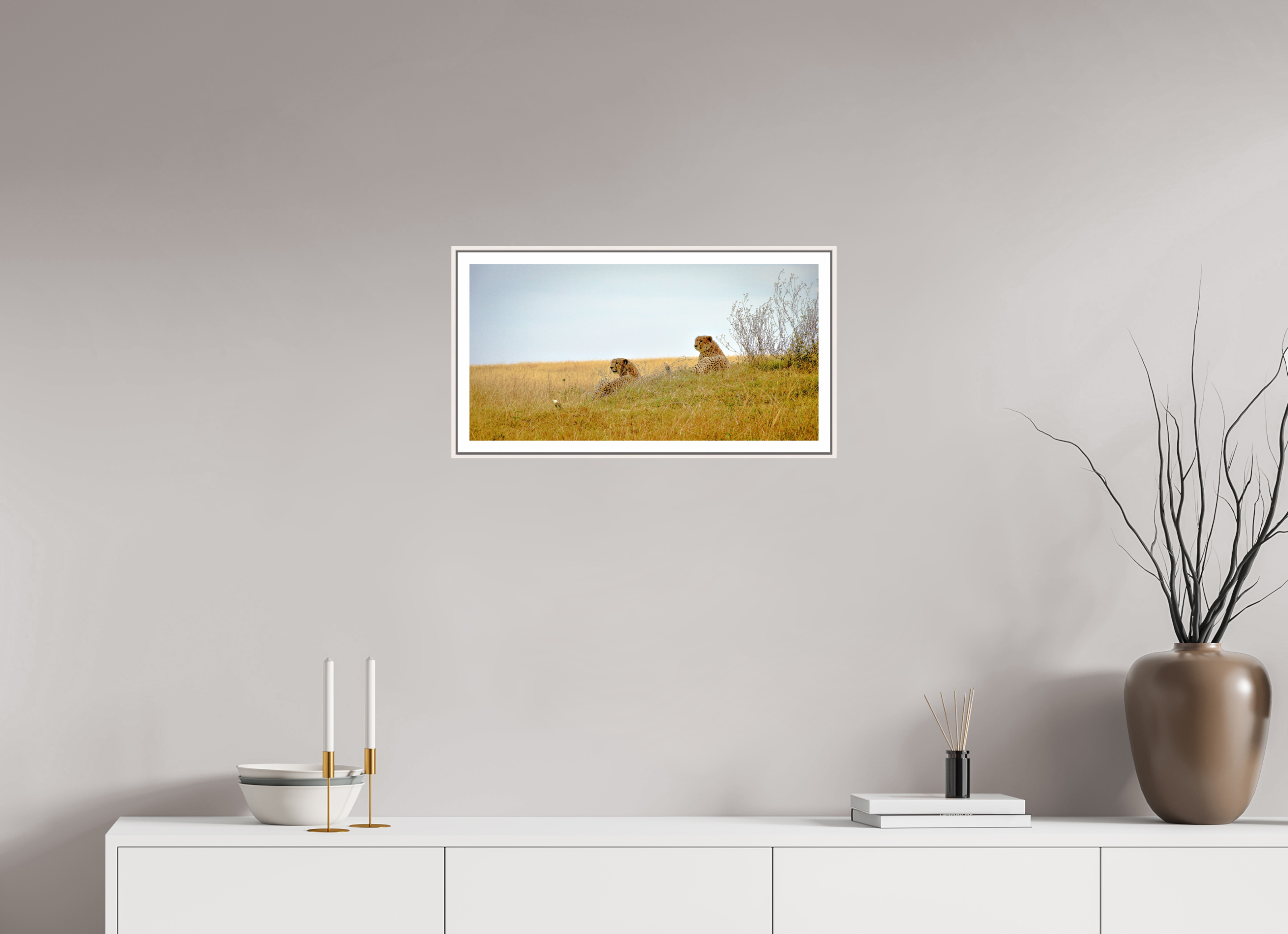 59.3 x 30 cm, Fine Art Print On Framed Aluminum Dibond Cheetah Connection