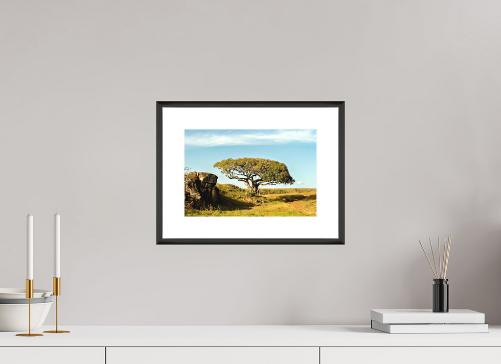 30 x 20 cm, Changeable Magnetic Frame - Hahnemühle Fineart Pearl Her Majesty Tree