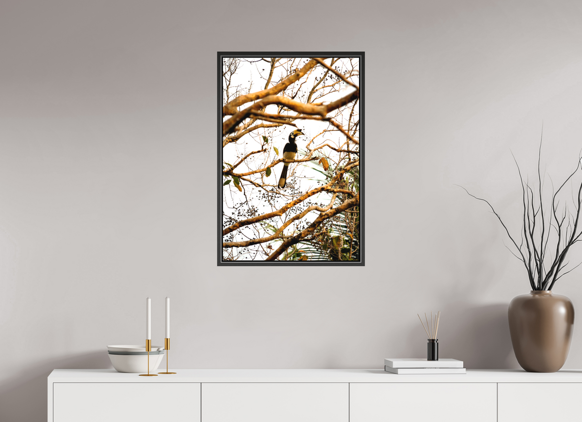 50 x 75 cm, Textile Print Canvas with 15 mm Width Gap Frame Hornbill at Rest