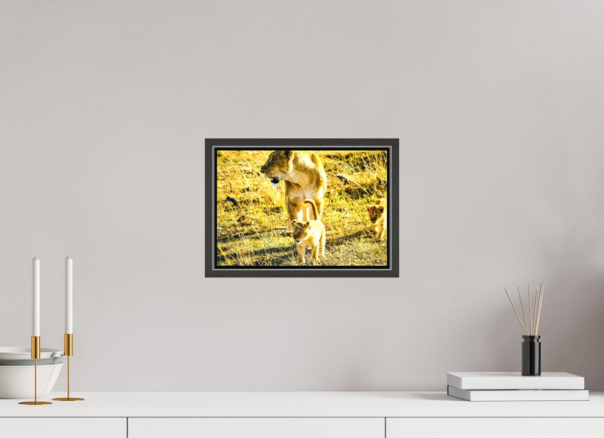 30 x 20 cm, Textile Print with 15 mm Width Gap Frame Savanna Legacy