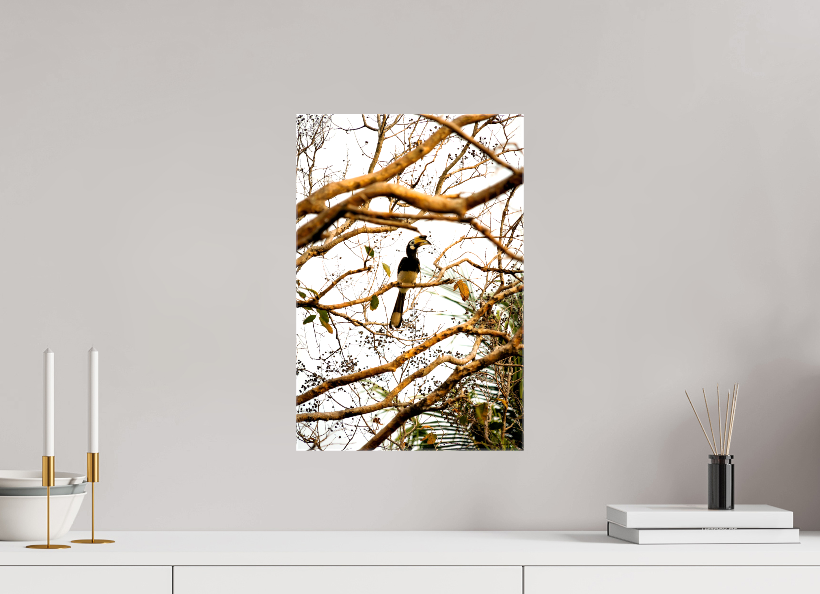 30 x 45 cm, Canvases Unframed Hornbill at Rest