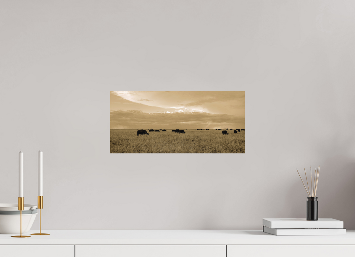 43.3 x 20 cm, Fine Art Print Smooth Grazing Herd of African Buffalo, Masai Mara, Kenya