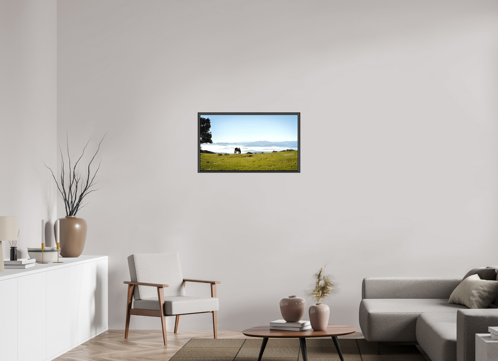 80 x 45 cm, Canvas A Horse with a View - Spain