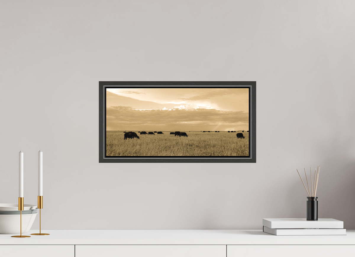 43.3 x 20 cm, Textile Print Canvas with 15 mm Width Gap Frame Grazing Herd of African Buffalo, Masai Mara, Kenya