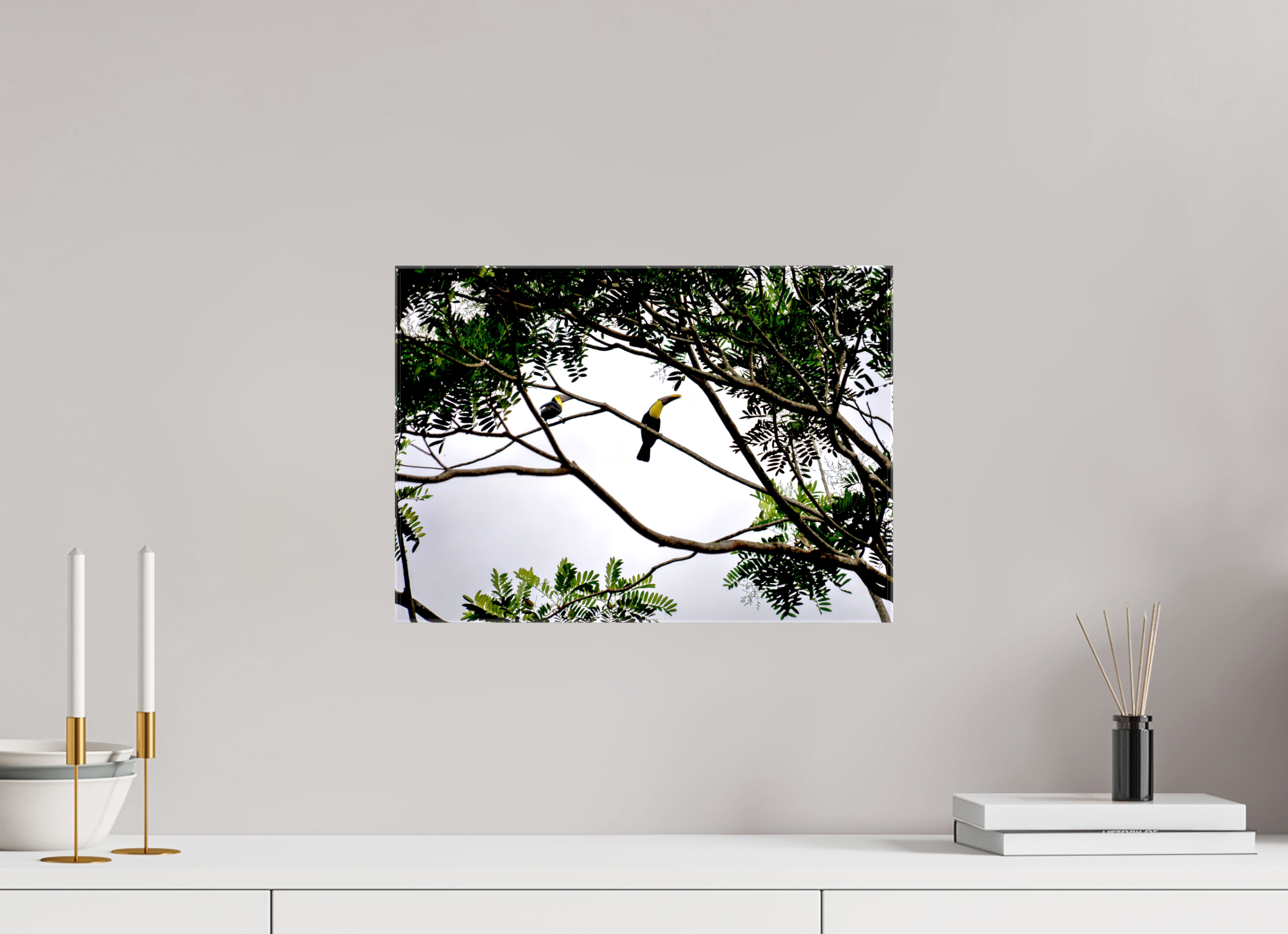42.3 x 30 cm, Canvases Unframed A Hornbill on a Branch