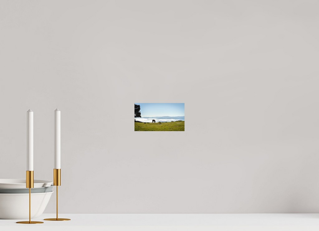 16 x 9 cm, Fine Art Print Smooth A Horse with a View