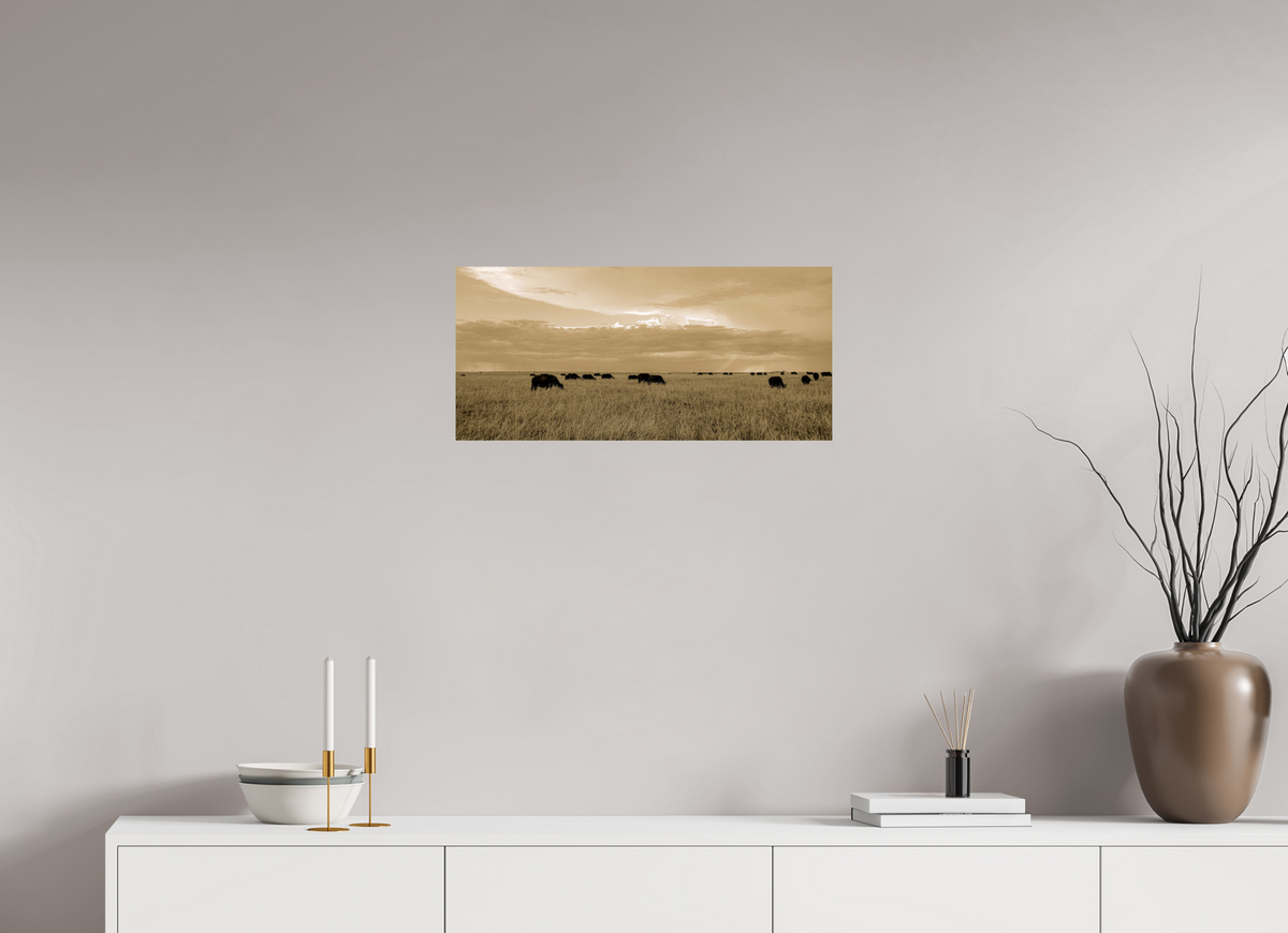 64.9 x 30 cm, Photo Print On Fuji Crystal DP II Grazing Herd of African Buffalo, Masai Mara, Kenya
